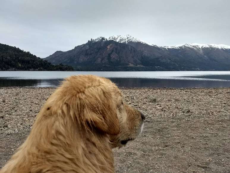 Faça como o cãozinho e tire um tempo para contemplar o Lago Campanário 