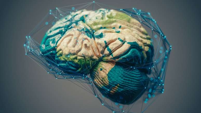 Principal fun&ccedil;&atilde;o dos neur&ocirc;nios &eacute; receber, processar e transmitir informa&ccedil;&otilde;es por meio de sinais qu&iacute;micos e el&eacute;tricos