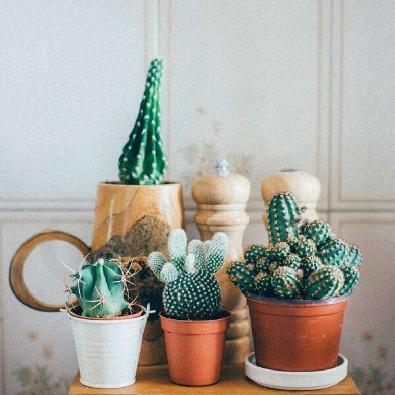 20. Os vasinhos com mini cactos podem ser colocados em qualquer lugar e são fáceis de combinar nos ambientes.