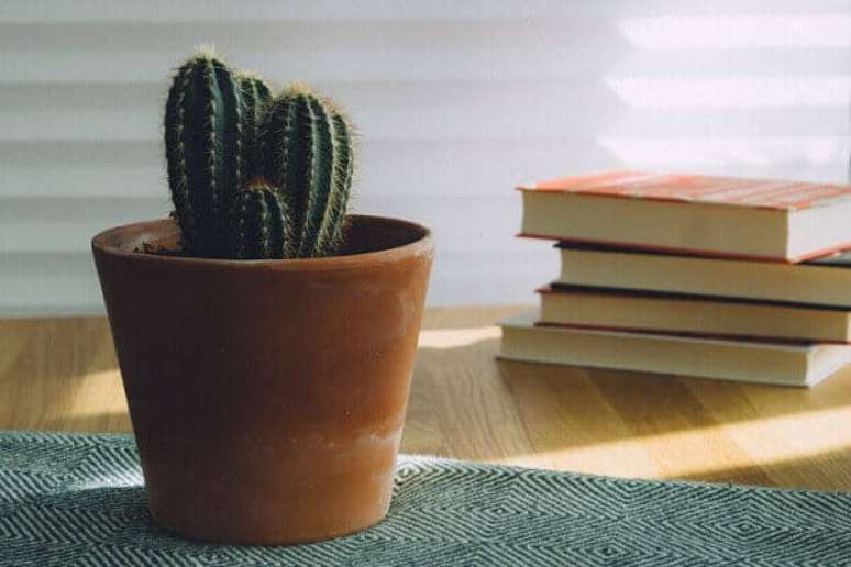 46- O vasinho com cactos pequeno decora a mesa lateral da sala de leitura. Fonte: Unplash