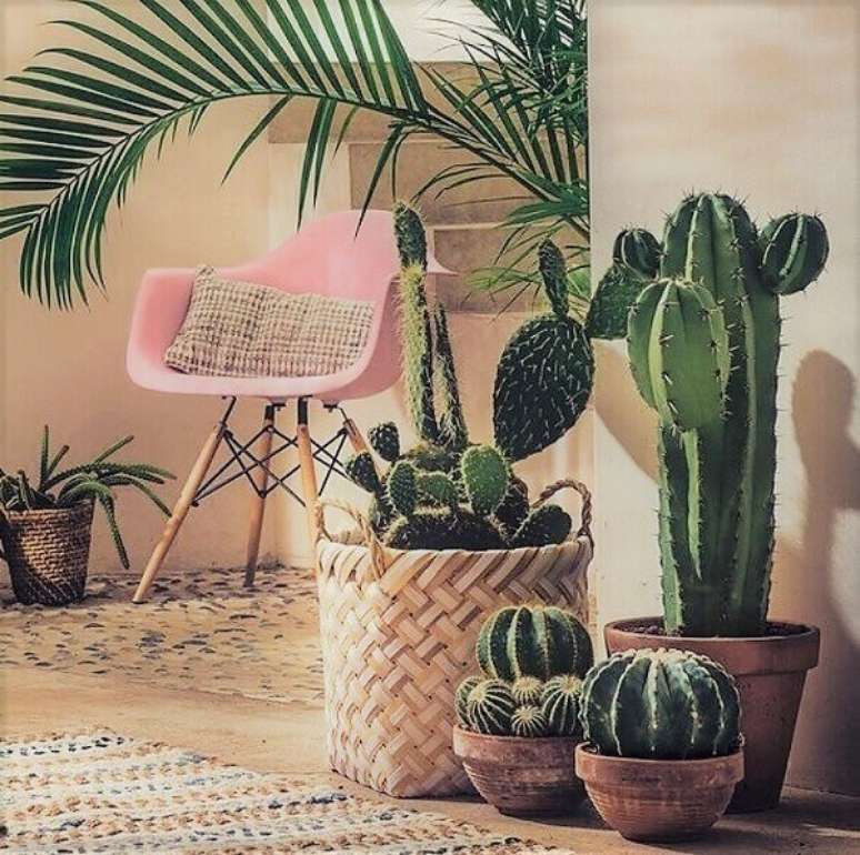 50- A decora&ccedil;&atilde;o de varanda Gourmet &eacute; feita com cesta de vime com vasos de cactos. Fonte: Pinterest