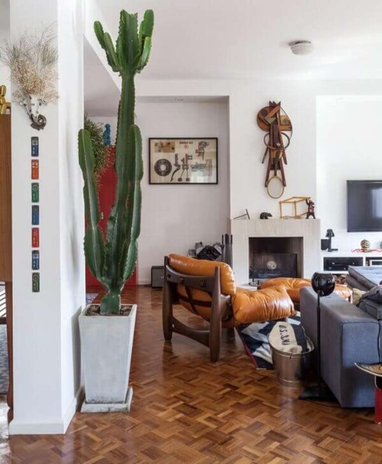 59- Os cactos são exóticos e se destacam na decoração de sala de estar. Fonte: Pinterest