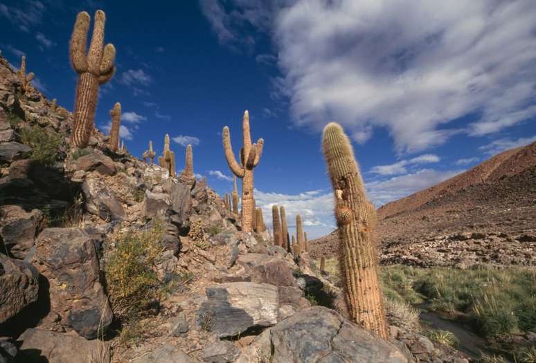 Deserto chileno; para marqueteiros, o público internacional hoje tem uma impressão melhor do país, tanto em relação à atratividade quanto à estabilidade de seu governo.