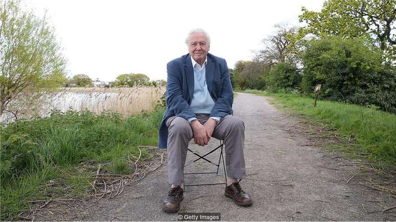 Sir David Attenborough, de 92, tem confiança de que chegará aos 100 - e não tem planos de se aposentar