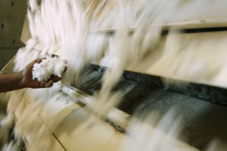 Funcionário segura algodão que está sendo processado em fábrica no Brasil
07/09/2011
REUTERS/Paulo Whitaker