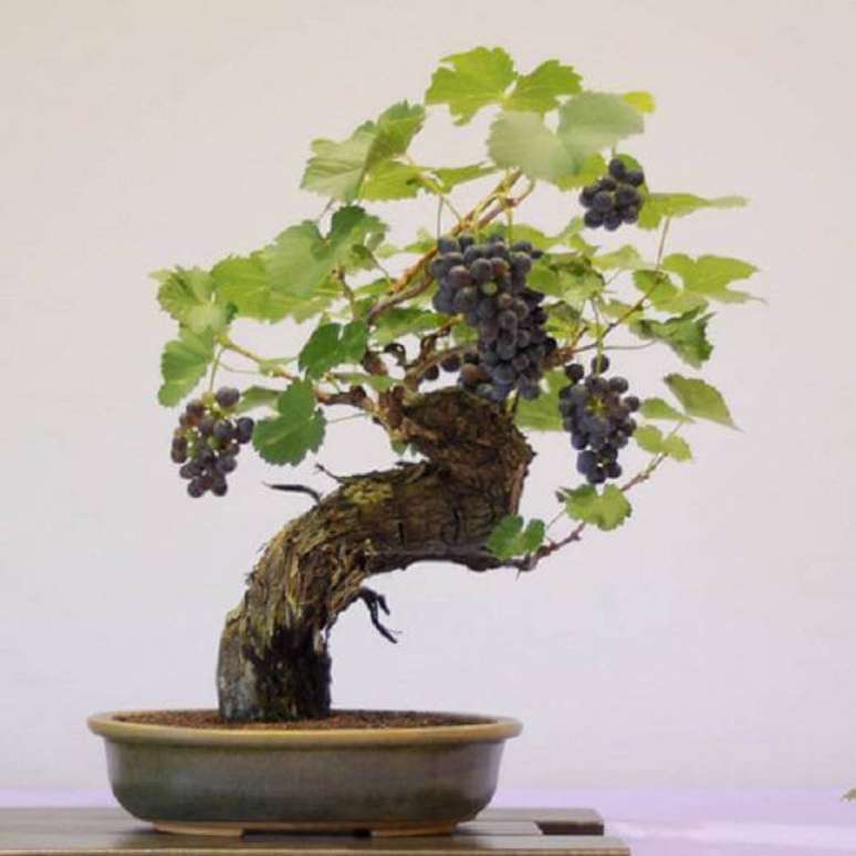 32. Bonsai de frutas com uvas