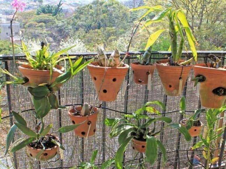 11 – Orquídeas em vasos de barro de diferentes tamanhos.