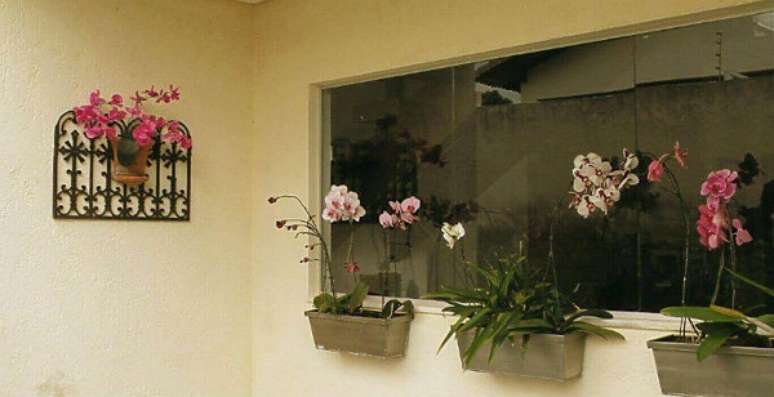 19– Orquídeas em pequenas jardineiras na janela.