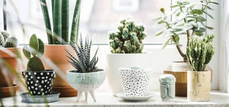30 – Vasos de plantas com diversos formatos e tamanhos.