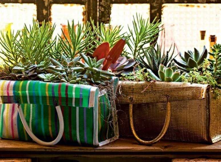 14 – Suculentas plantadas em sacolas para decoração rústica.