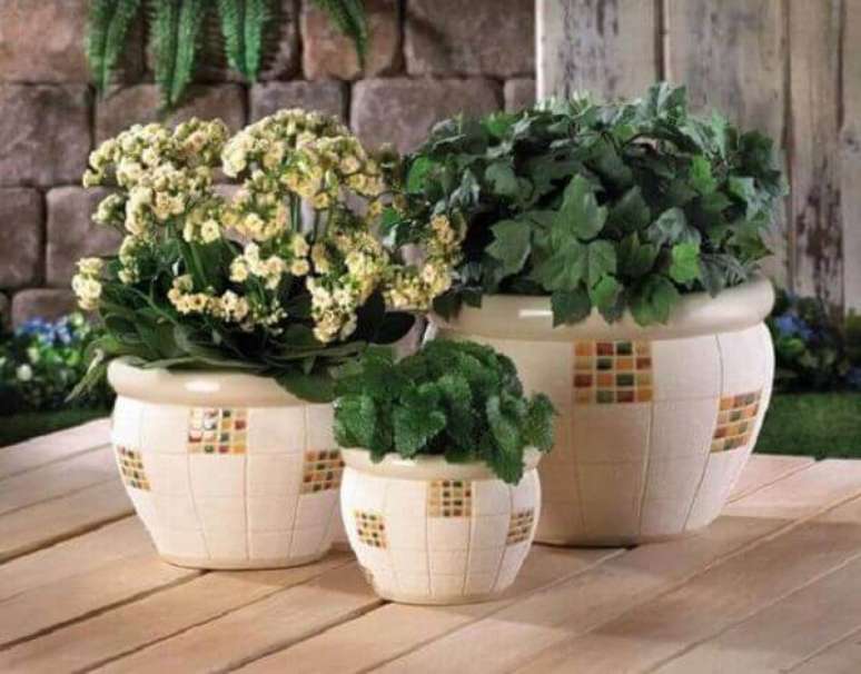 26- Vasos de plantas decorativos.