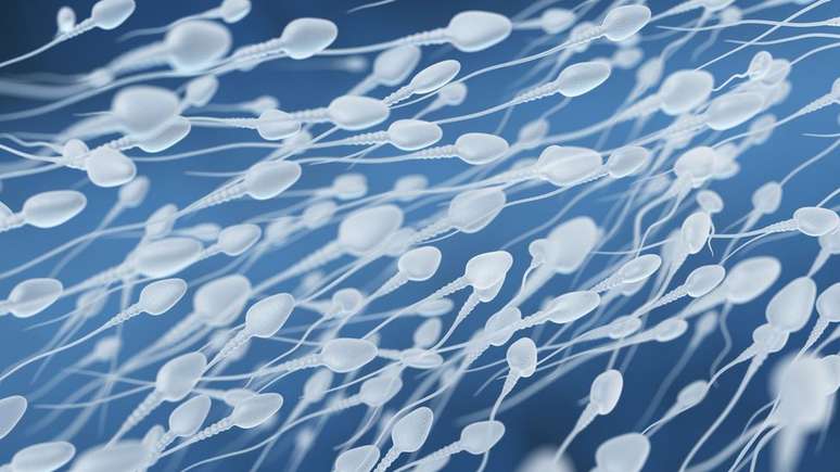 Crendices dos anos 1600 especulavam que 'cada espermatozoide continha um pequeno humano adulto pré-formado, enrolado em seu interior'