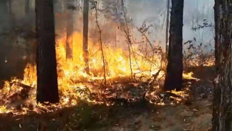 Incêndio atingiu 140 hectares de mata e reflorestamento em área de reserva florestal de uma fazenda, em Mairinque SP