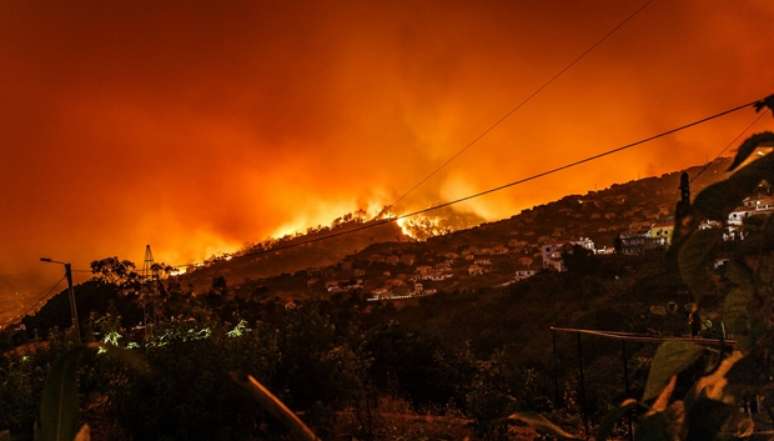 Onda de calor na Europa causa mortes por superaquecimento e danos