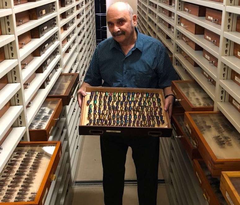 O entomologista Miguel Monné dentro do maior armário compactador da coleção de insetos que ficava no Museu Nacional, no Rio. Com 44 fileiras e 10.500 gavetas entomológicas, guardava cerca de 3 milhões de exemplares ali