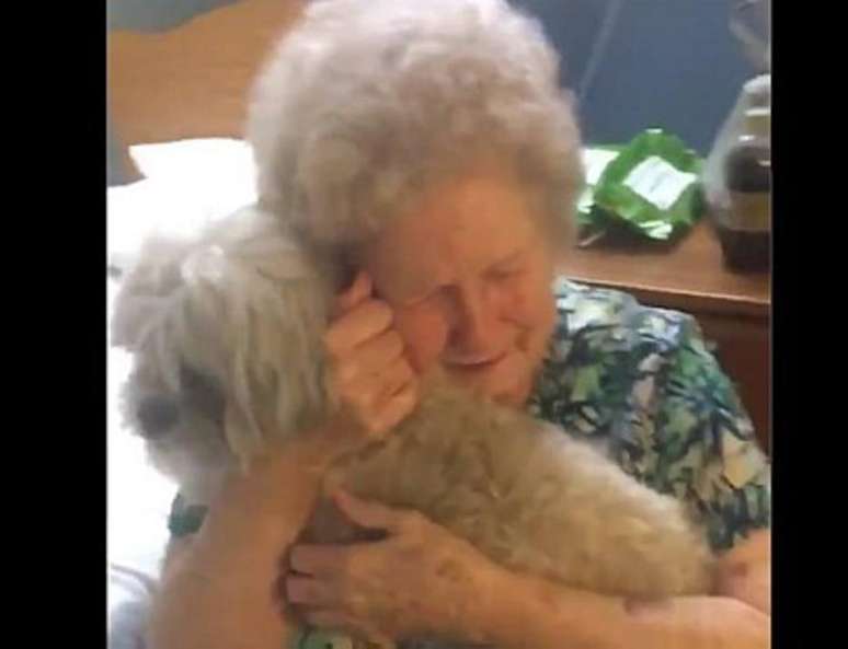 Para superar a depressão e o luto, idosa ganha cão de presente do neto.