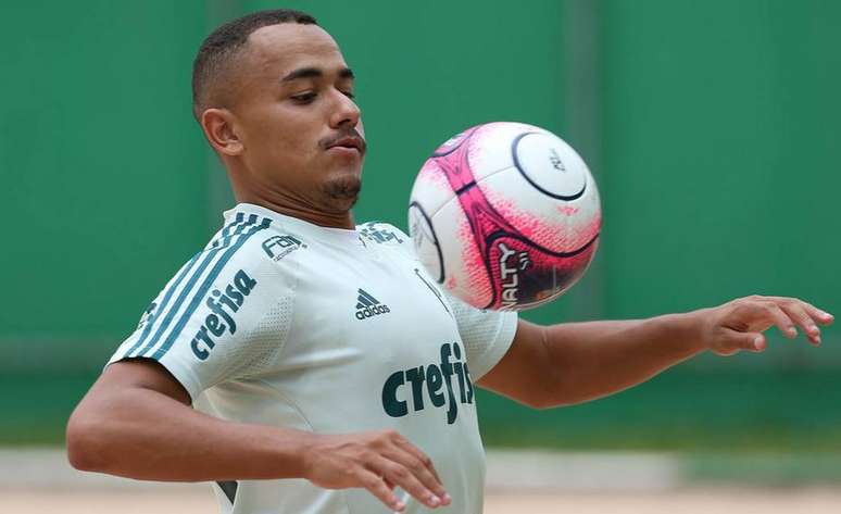 Papagaio começa a conquistar espaço no Palmeiras