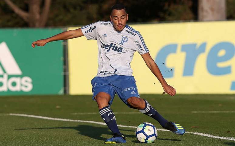 Papagaio pode ser titular do Palmeiras contra o Bahia, domingo, pelo Campeonato Brasileiro (Foto: Cesar Greco)
