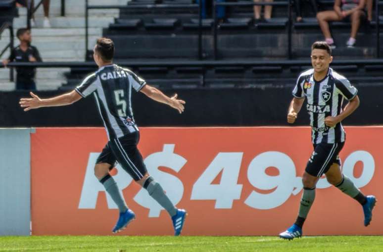 Jogadores do Botafogo comemoram o único gol da partida (Foto: Magalhães Jr/Photopress/Lancepress!)