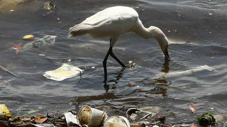 A quantidade de plástico no oceano deve triplicar em uma década, segundo especialistas, a menos que o lixo seja contido