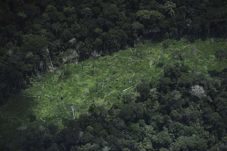 Área desmatada em terra indígena da Amazônia 25/03/2014 REUTERS/Lunae Parracho