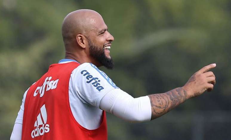 Felipe Melo voltou a treinar na Academia de Futebol, mas está fora de viagem ao Chile (Foto: Cesar Greco/Palmeiras)