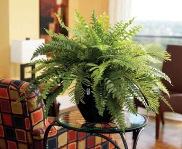 17- A samambaia plantada em vaso sobre a mesa lateral enfeita a sala. Fonte: Pinterest