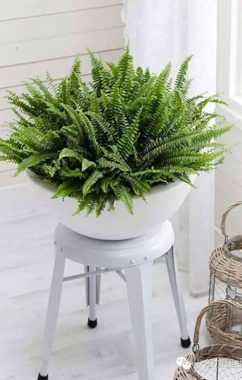 60- O vaso branco sobre o banquinho &eacute; utilizado como decora&ccedil;&atilde;o na sala de estar. Fonte: Pinterest