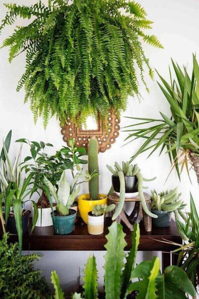 57- A planta samambaia &eacute; destaque na cole&ccedil;&atilde;o de plantas da varanda em apartamento. Fonte: Pinterest