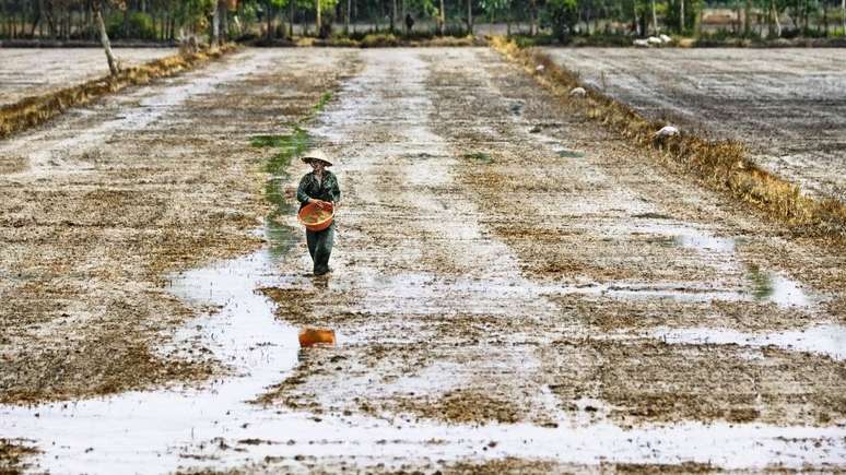 Agricultura no Delta do Mekong, uma importante região agrícola no sul da Ásia, que é afetada pela mineração de areia