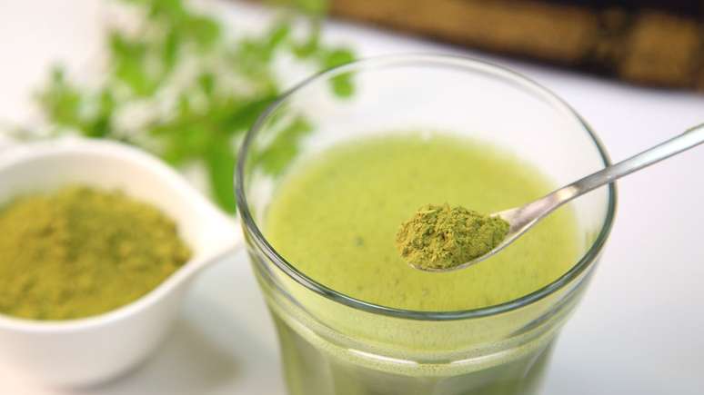 Os produtos derivados da moringa têm propriedades antibióticas e as sementes da planta são usadas para problemas circulatórios