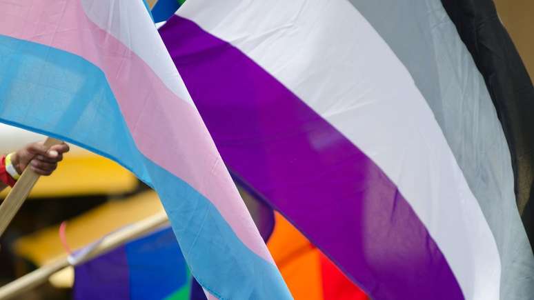 Bandeira que representa a assexualidade traz as cores preta, cinza, branca e roxa