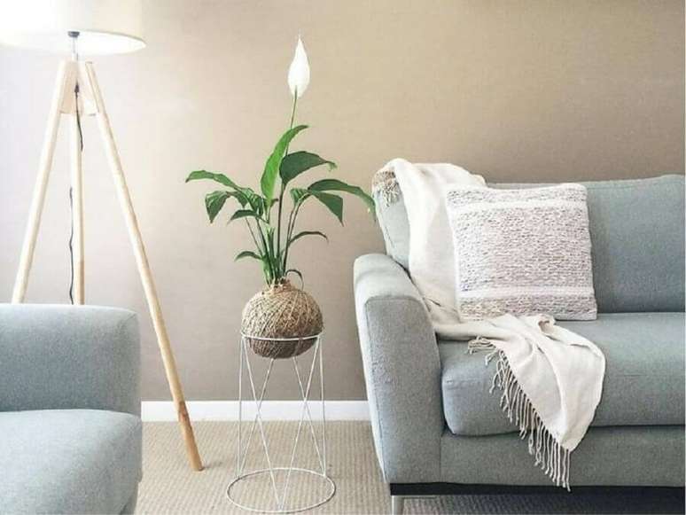 17. Decoração minimalista para sala com vaso de lírio da paz – Foto: Living Gifts Brisbane