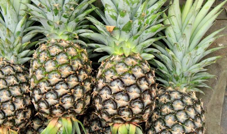 6. ABACAXI: a fruta cont&eacute;m uma enzima proteol&iacute;tica chamada bromelina e bloqueia subst&acirc;ncias inflamat&oacute;rias, aumentando os n&iacute;veis de subst&acirc;ncias anti-inflamat&oacute;rias. Pode-se comer abacaxi todos os dias e, se tiver um machucado, &eacute; s&oacute; colocar uma rodela sobre o local logo depois da pancada, para evitar o incha&ccedil;o e diminuir a dor 