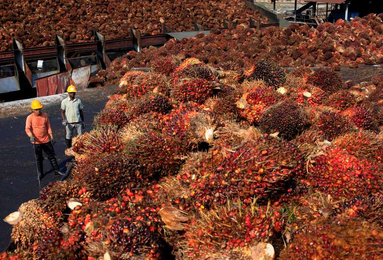 Funcion&aacute;rios perto de frutos de &oacute;leo de palma em f&aacute;brica de processamento 
18/02/2014
REUTERS/Samsul Said