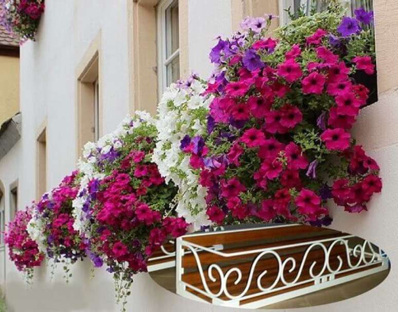 2- As flores coloridas tem um apelo visual bonito para decorar ambientes internos e externos. Fonte: Pinterest