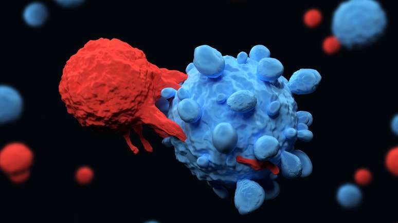 Pesquisadores encontraram maneiras de desativar proteínas que impediam células de defesa de atacar as células cancerígenas
