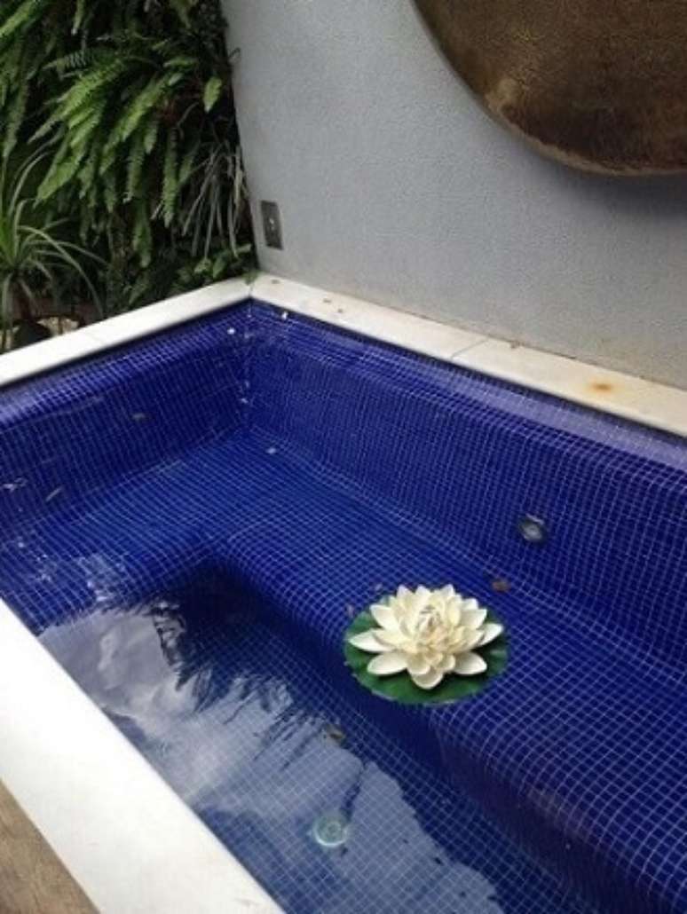 3. Uma piscina pequena pode ser exatamente o que você precisa para curtir mais a sua casa. Projeto de Occoncur