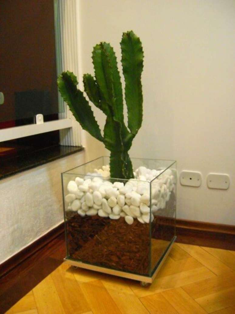 18. As pedras e cascalhos fazem a diferen&ccedil;a no cachepot de vidro. Foto de Casa Pro