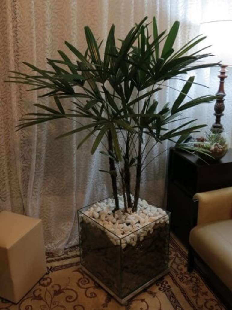 40. Cachepot de vidro com palmeira em sala de estar. Foto de Mercado Livre
