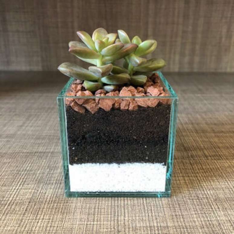 14. Cachepot de vidro pequeno com suculenta. Foto de Ateli&ecirc; de Lembran&ccedil;as
