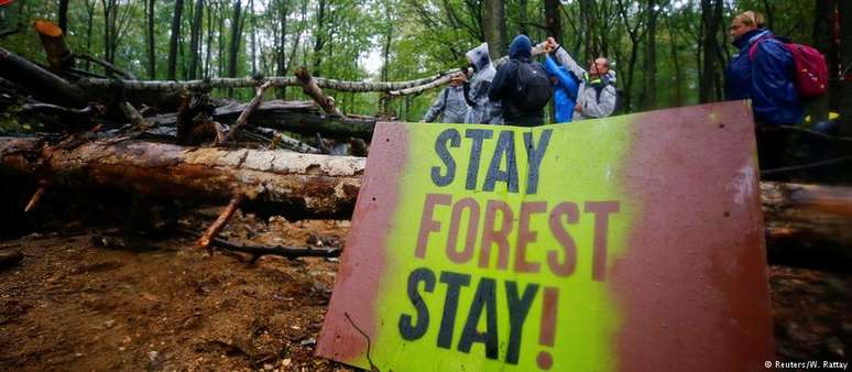 Ativistas ocuparam a floresta de Hambach durante anos para impedir exploração de linhito