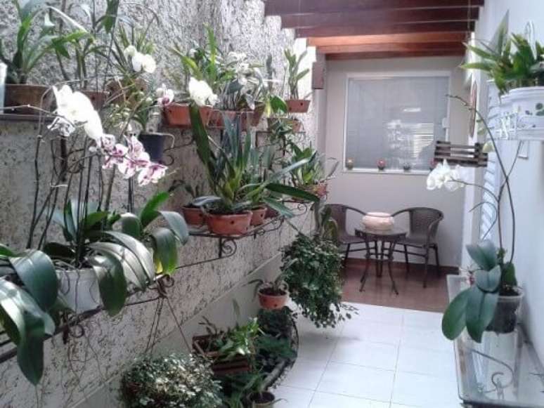 64. Jardim vertical em estruturas de ferro. Projeto de H&eacute;lio Okamoto