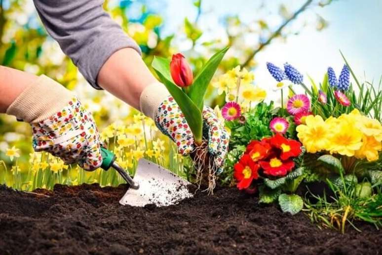 1- Utilize ferramentas específicas para a manutenção do seu jardim. Fonte: Magazine Luiza