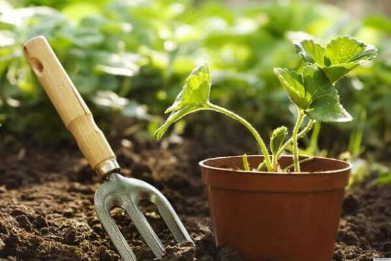 30- A atividade de jardinagem e paisagismo é relaxante e um ótimo passa tempo. Fonte: Lar Doce Lar