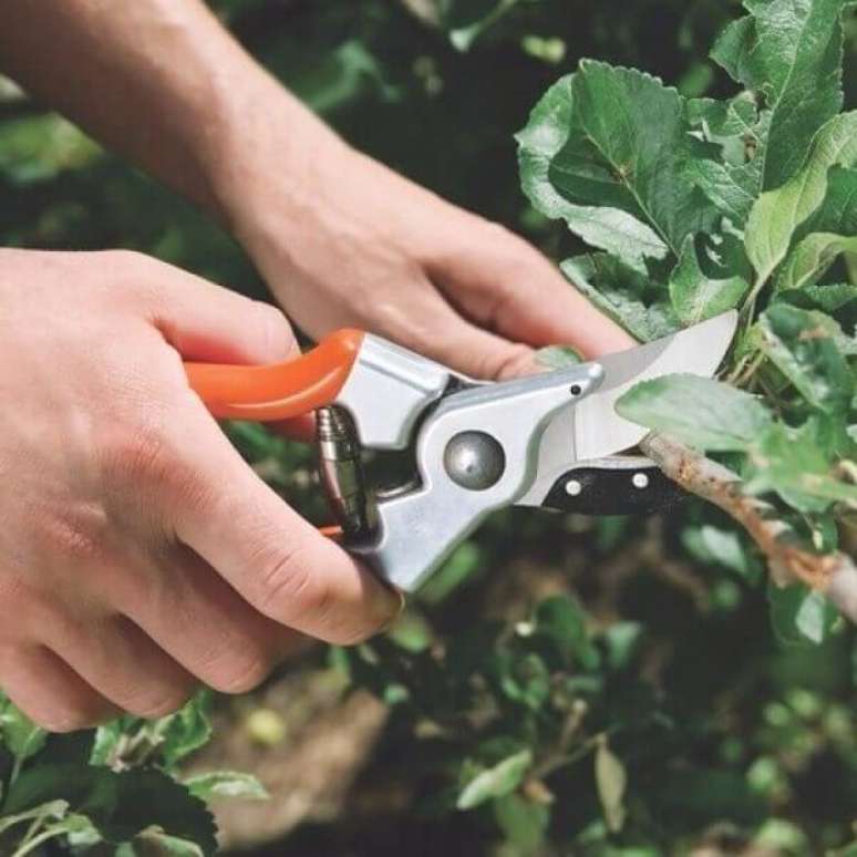 29 – Adquira sempre ferramentas de jardinagem de boa qualidade. Fonte: Madeira Madeira