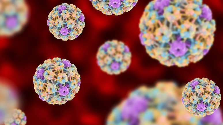 Mais de 100 variedades de HPV foram identificadas, mas aproximadamente 13 estão associadas ao câncer, de acordo com a OMS
