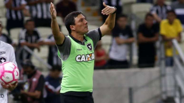 Zé Ricardo comanda um Botafogo que está há cinco jogos sem perder no Campeonato Brasileiro (LC Moreira)