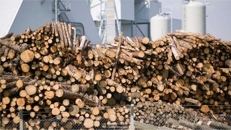 A biomassa vai reduzir as emissões de carbono apenas se as árvores derrubadas forem substituídas por novas mudas que poderão absorver o CO2 do ar