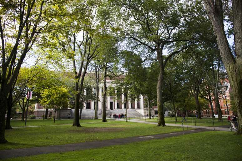 No último ano, 42.749 pessoas se candidataram a Harvard, mas apenas 1.962 conquistaram uma vaga